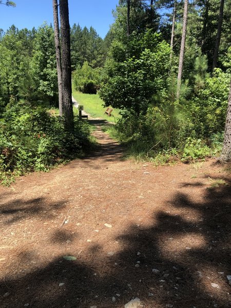 Picnic tables near trails looking toward the parking lot