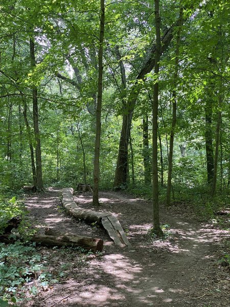 Are you even riding a trail in the Midwest without a log ride?