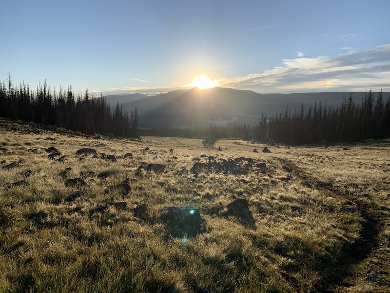 Sunrise on trail