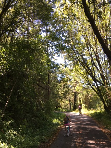 This is the perfect bike trail for our daughter, who is learning how to ride. No cars, and absolutely beautiful!