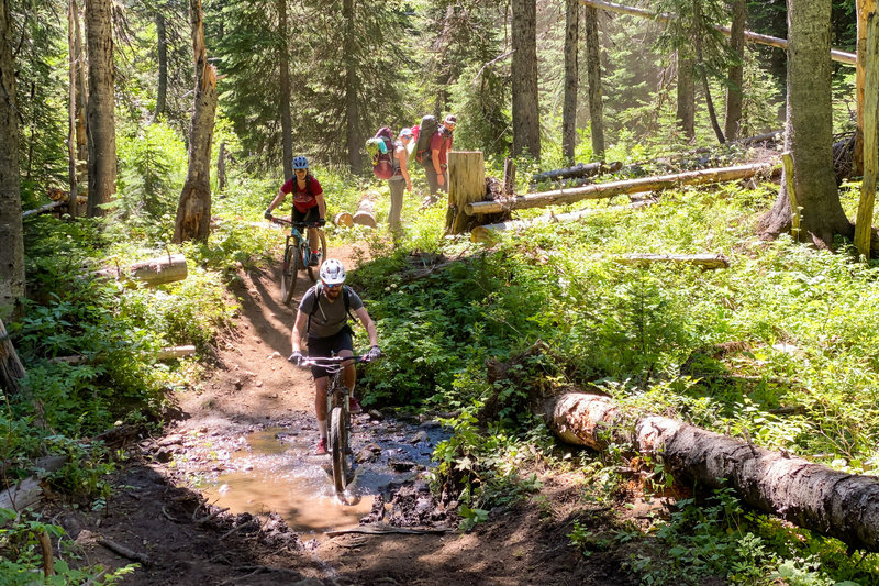 Navigating one of first and easiest creek crossings.