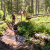 Navigating one of first and easiest creek crossings.