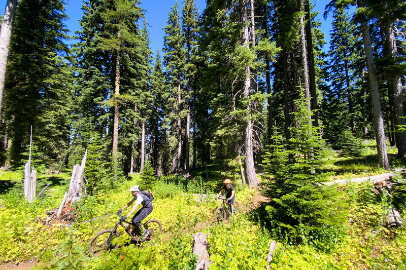 Riders work through an open glad along the Umatilla Rim Trail.