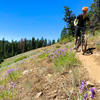 Jeff navigates the trail following a rock off-camber section.