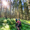 Riders climb through a lush section of woods on the Umatilla Rim Trail.