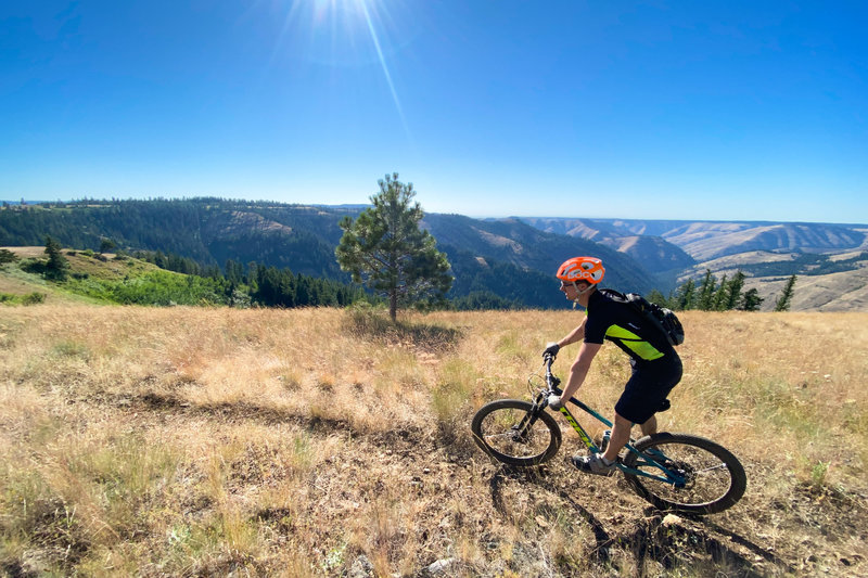 The occasional open ridge is what this trail is all about!