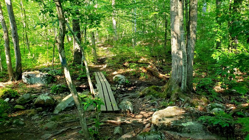 Wooden skinny bridge over stream.