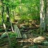 Wooden skinny bridge over stream.