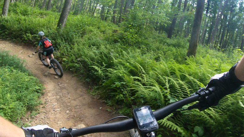 Chasing my wife on the fast flowing trails.