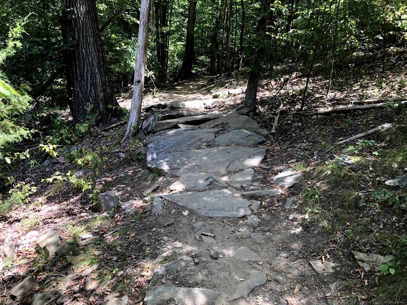 Nice rocky section in the trail.