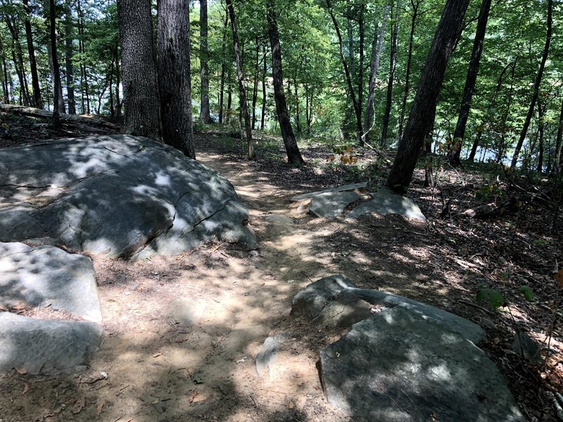 Pick your poison, the easy path on the right or the big rock path on the left!