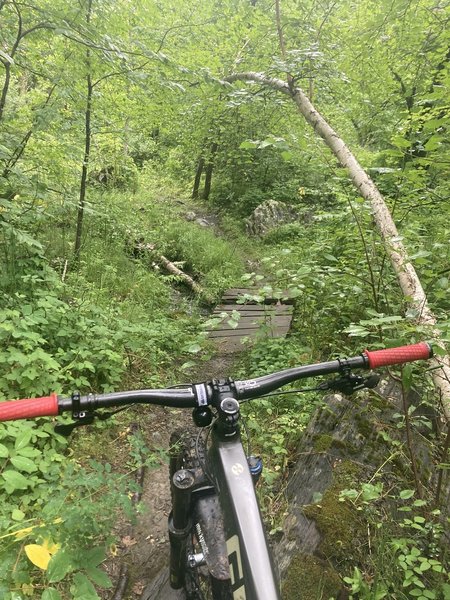 This is the section that is black part of the blue/black rating of these trails.