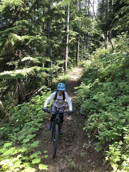 Coming down Kelly pass trail