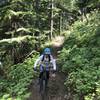 Coming down Kelly pass trail