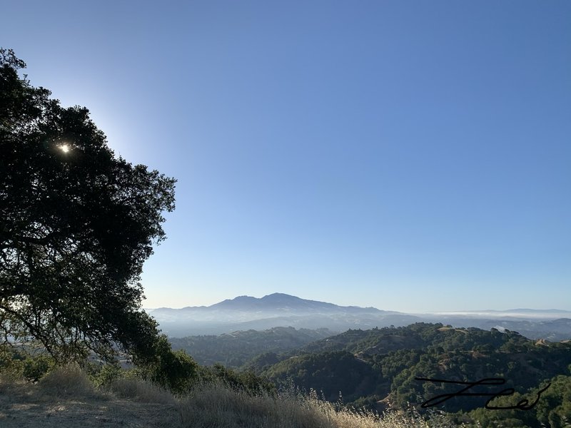 Briones peak view