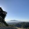 Briones peak view