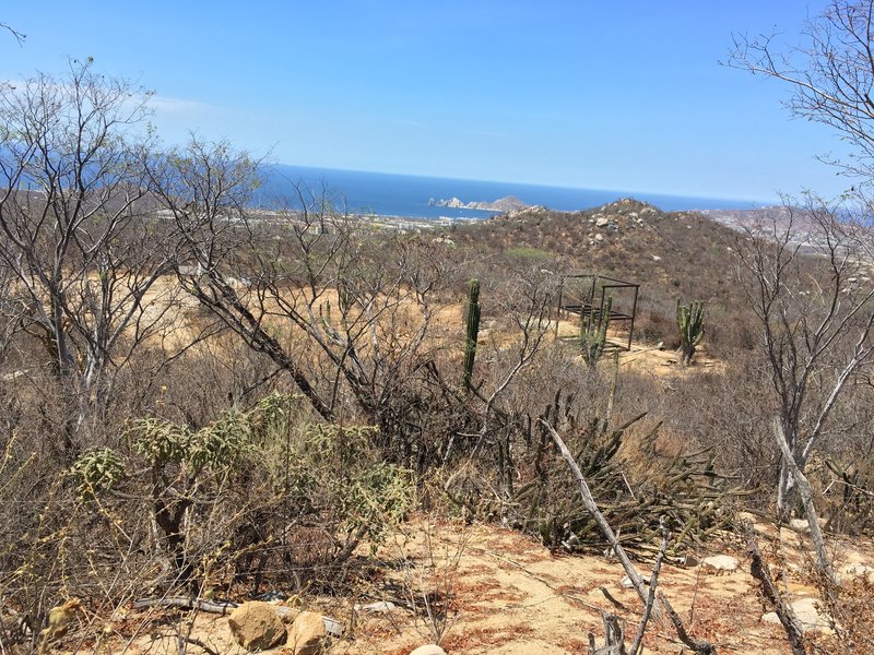 Golfo de California y Océano Pacífico