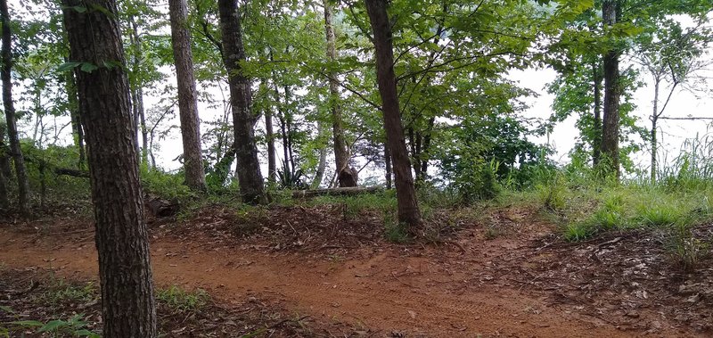 Summer view of the Chattahoochee River