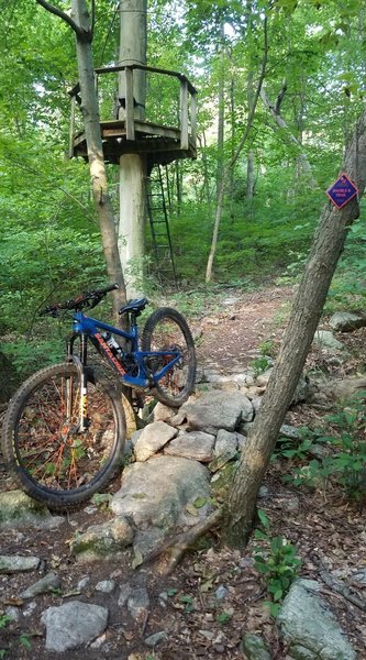 Rock armor on middle trail downhill