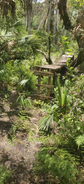 The last third of the bridge is down, but a ladder exists on the far end. You cannot see this coming from the other side. I hopped over the creek getting my feet wet, not realizing there was a ladder at the end.