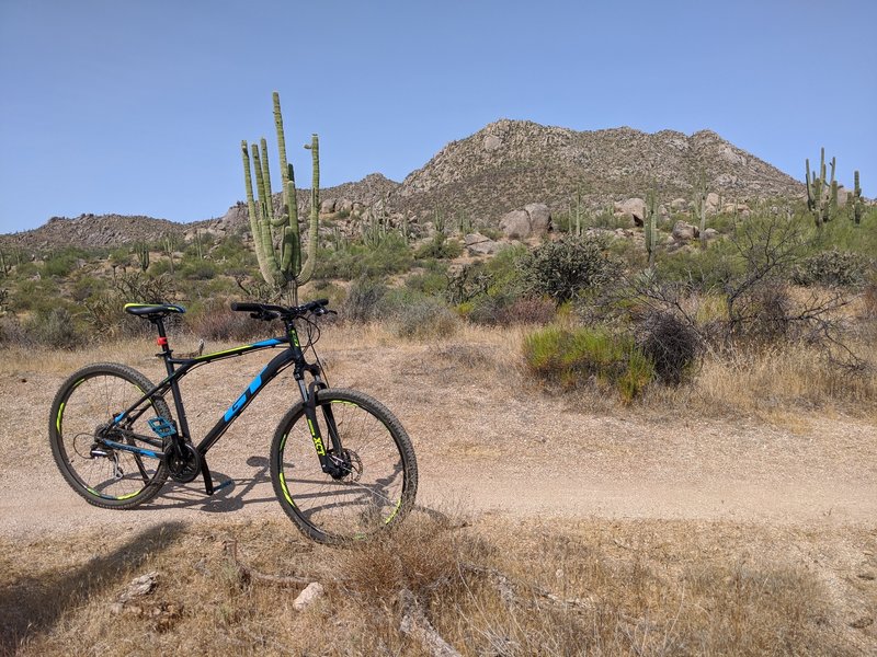 Nice smooth winding singletrack, excellent for beginners like myself