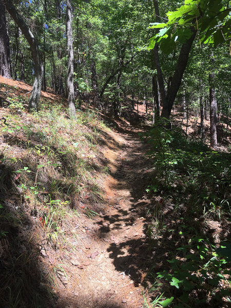 About halfway through Oak Mountain State Park (Pelham, AL)