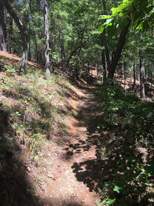 About halfway through Oak Mountain State Park (Pelham, AL)