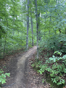 Thought everyone in Atlanta was going to be on this trail, but I was alone once I got out there. One of my favorites.