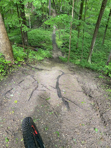 Blue Trail Mountain Bike Trail Berrien Springs Michigan