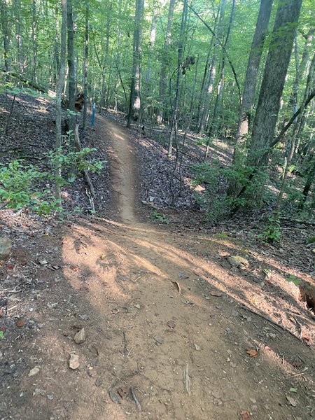 Very well groomed trail with some nice dips and turns.