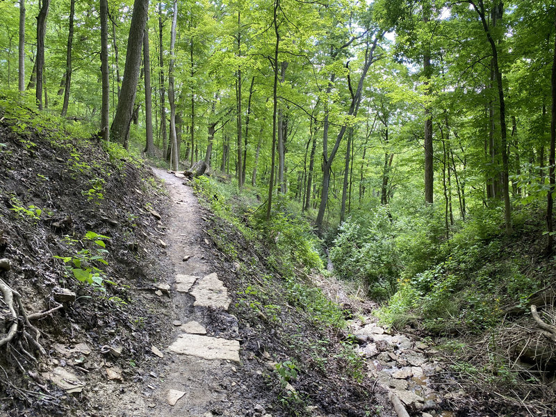 Pretty good trail. Great guys from local club were working on it with hopes to expand it.