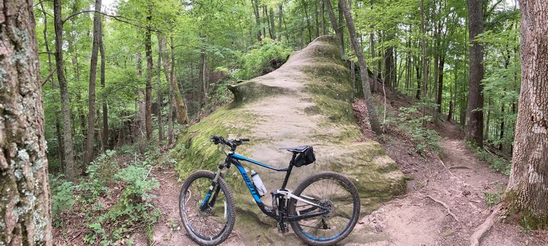 The crown jewel feature of Finger Rock Trail - Ringer Rock itself. No descent on this trail is complete without sending it down this face