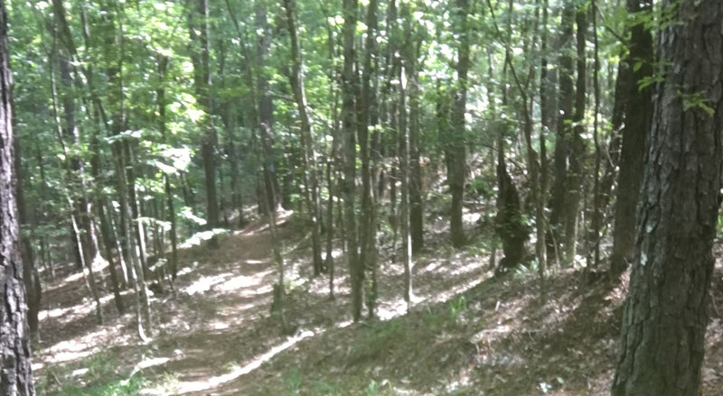 All of FATS is an absolute blast. My absolute favorite "hometown" trail system. Sorry, the picture sucks and doesn't do it justice.