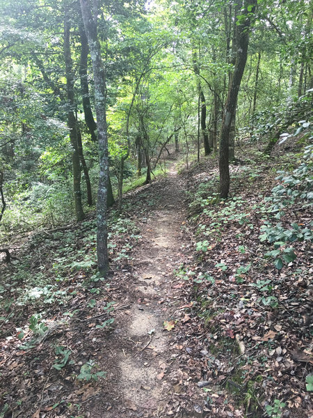 Pleasant surprise, great flowy trail with beautiful scenery...just don't be the first on the trail. Lots of spider webs.