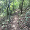 Pleasant surprise, great flowy trail with beautiful scenery...just don't be the first on the trail. Lots of spider webs.