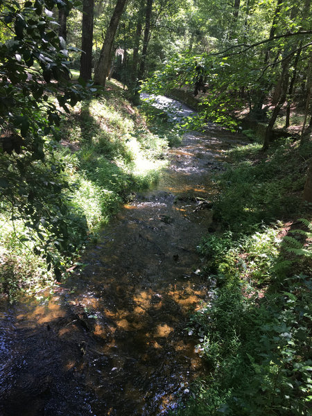 "Pleasant surprise, great flowy trail with beautiful scenery...just don't be the first on the trail. Lots of spider webs."