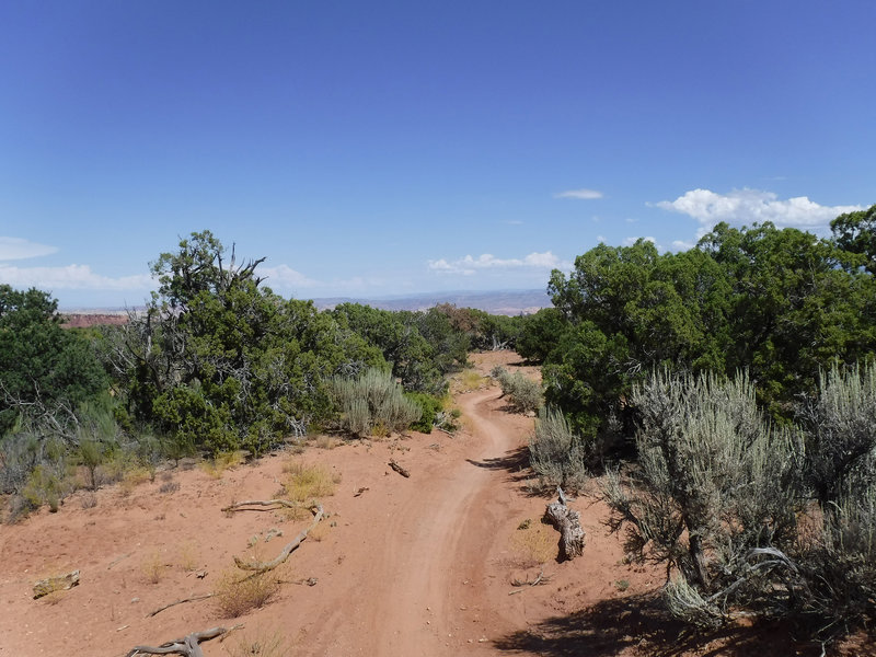 "A great way to take in the scenery of Utah without killing yourself."