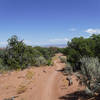 "A great way to take in the scenery of Utah without killing yourself."