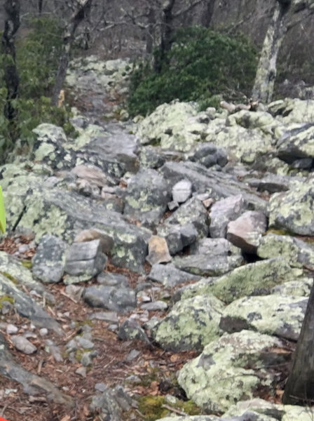 "Thought I'd "earn" the "downhill" but it turns out there wasn't a lot of downhill...at least not any that wasn't covered with big rocks. One of several "rock gardens."