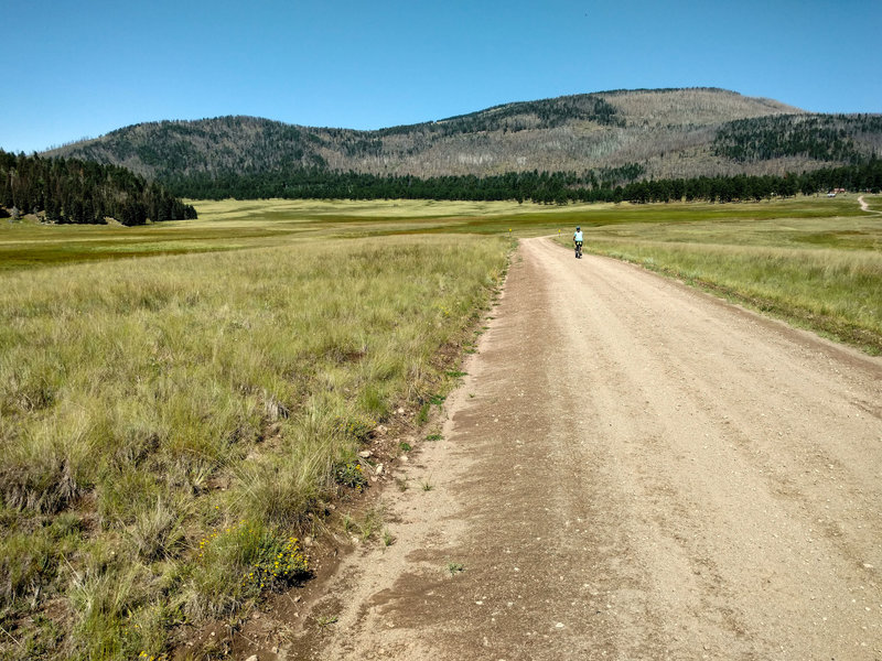 A mile past the ranger station is this view of Redondo Peak.