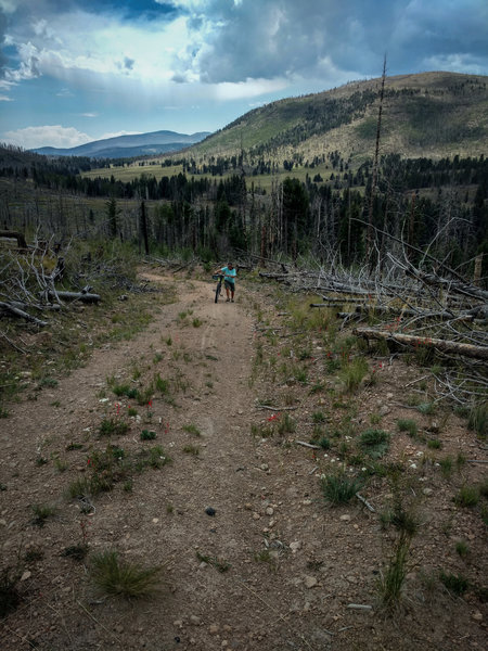 Pipeline Road (Rte 09) is plenty steep enough to walk up. Especially if zonked.