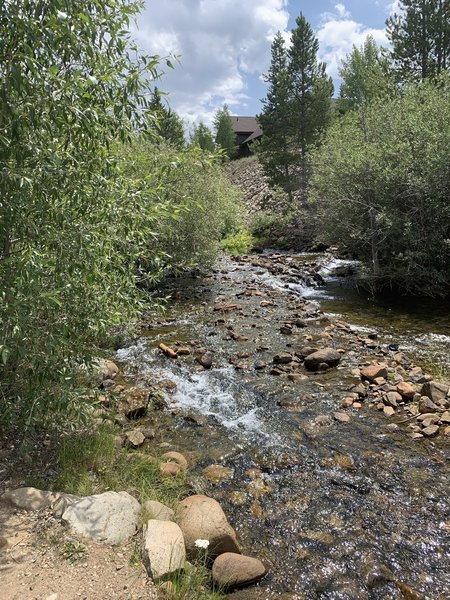 Slow flowing creek next to Surfboard Bench!!