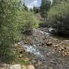 Slow flowing creek next to Surfboard Bench!!