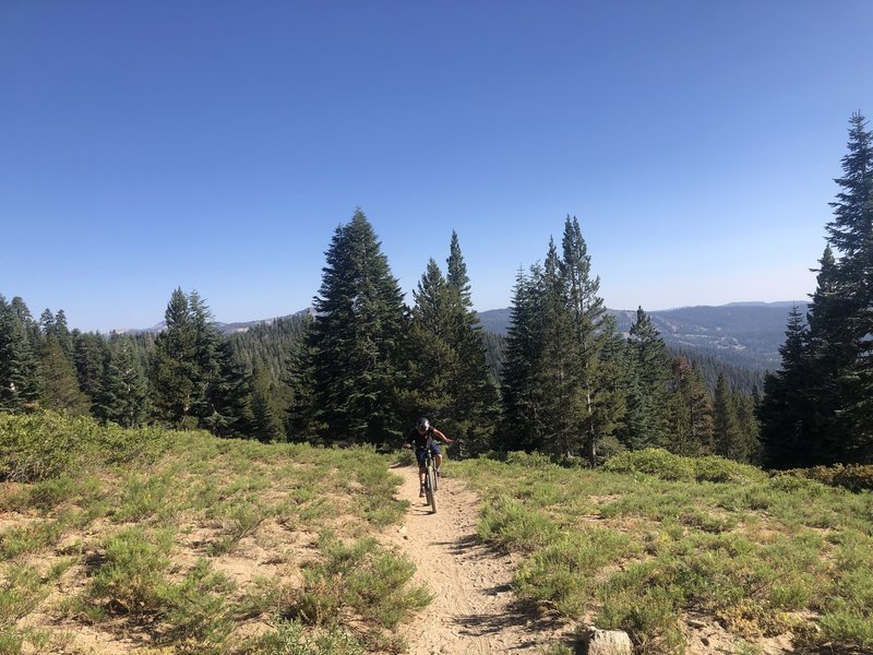 Coming to the end of the traverse, before starting the downhill singletrack.