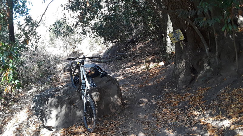 Going down Finch towards switchbacks. Great place  to stop for a snack and see a 'NO PARKING' sign inside of a tree. Interesting easter egg in the park.