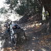 Going down Finch towards switchbacks. Great place  to stop for a snack and see a 'NO PARKING' sign inside of a tree. Interesting easter egg in the park.