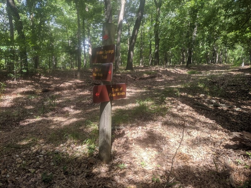 If you found the trail from the south parking lot, you'll come to this junction about a half mile in.