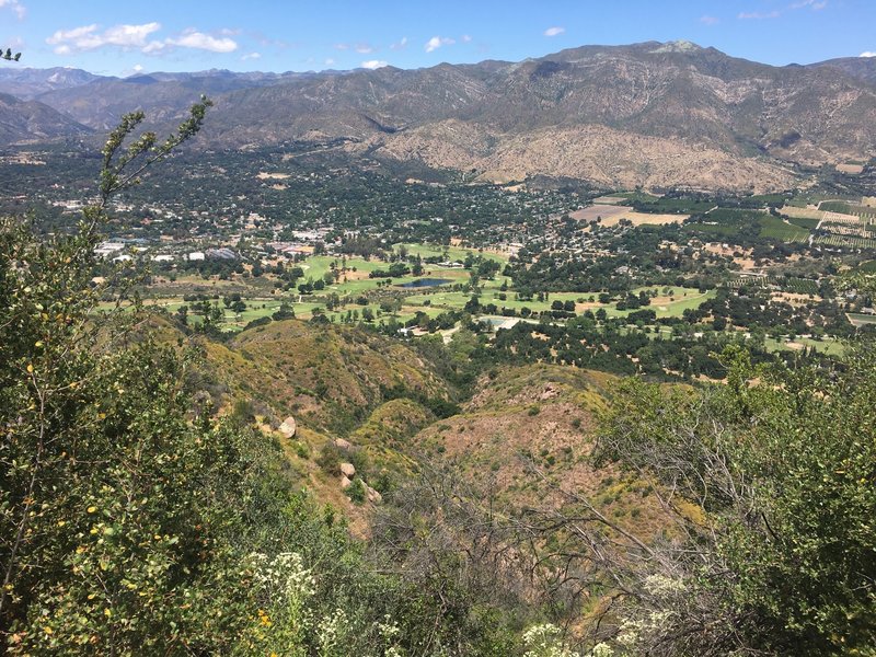 From Black Mountain Rd.-Shelf Rd., Fuel Break Rd., Nordhoff Ridge Rd. rise beyond Ojai, and Soule Park Golf Course