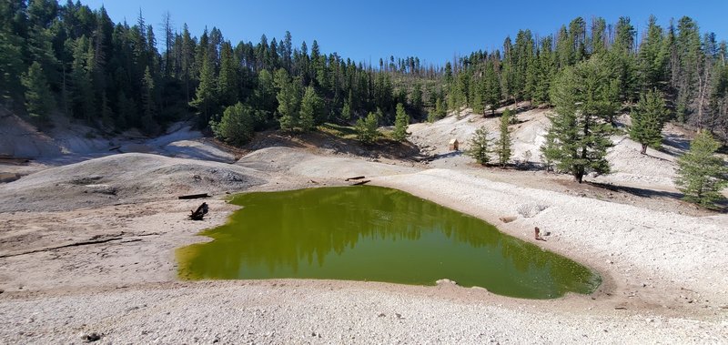 Hot pools at Sulphur Springs.