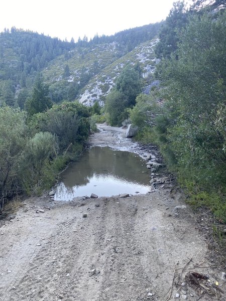 Kings Canyon Fire Road - Some Muddy Sections/Stream Crossings